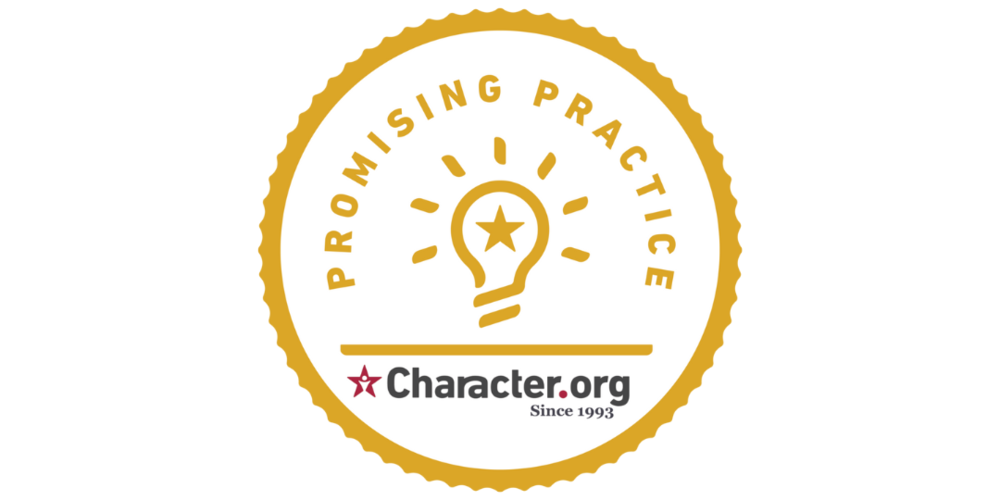 Promising Practice