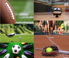 Activity Spectator Guidelines