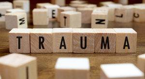 Trauma Informed Training
