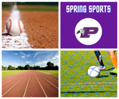 Spring Sports Information