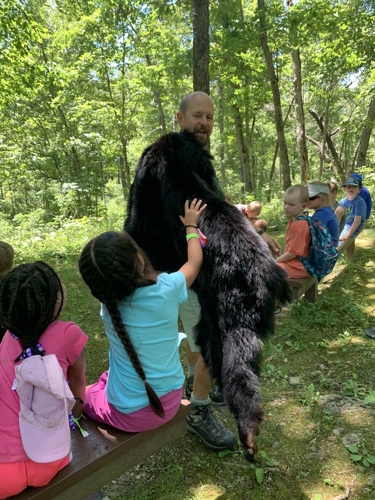 bear